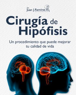 Cuando las hormonas se desequilibran, todo el cuerpo lo resiente.
Hoy existen tratamientos que buscan recuperar ese balance con precisión.
Cuidar esta área del cerebro puede marcar un antes y un después 🧠⚖✨