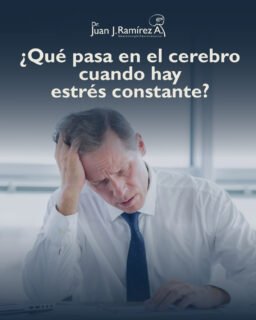 El estrés constante no solo se siente, también se refleja en tu salud.
Vivimos normalizandolo a él, pero el cuerpo y la mente pasan factura.
Escuchar estas señales es el primer paso para cuidarte 🧠🤍✨