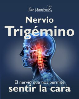 ¿Conoces la neuralgia del trigémino?
Dolor facial intenso que aparece como descargas eléctricas, punzadas o latigazos.
❌ No es normal.
❌ Y muchas veces no es un problema dental.
El nervio trigémino puede ser el responsable de este dolor que suele confundirse con muelas, estrés o tensión facial.
Detectarlo a tiempo cambia el tratamiento y tu calidad de vida.
